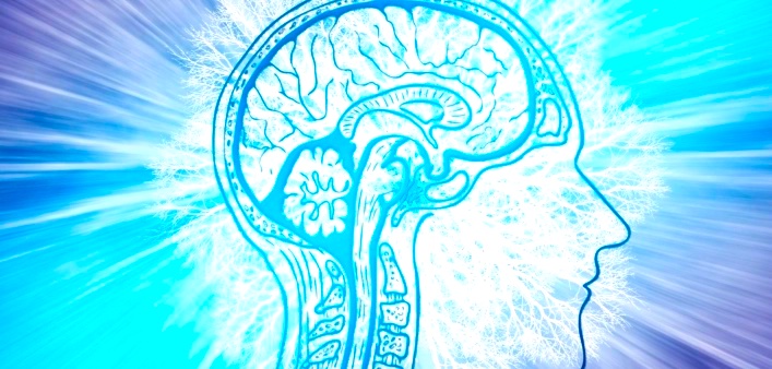 computer rendering of human brain